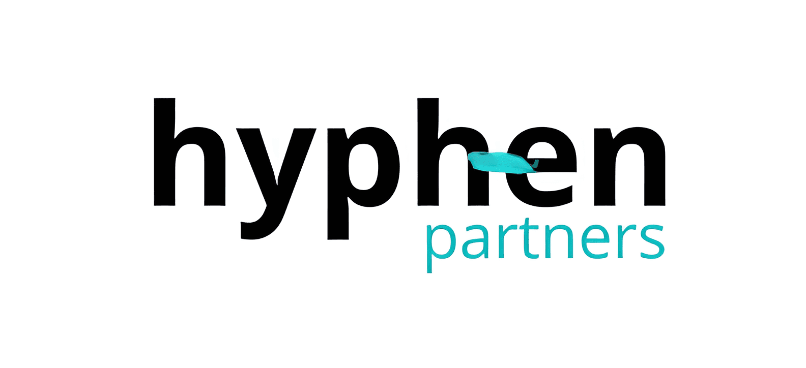 Hyphen Partners case study